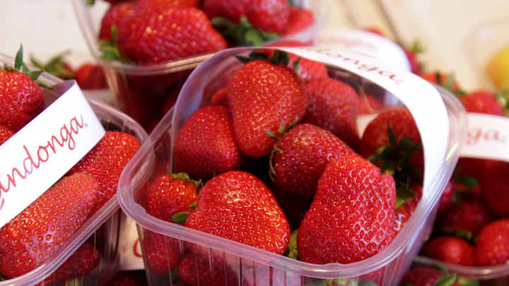 Shopping at the local market Shopping at the local market